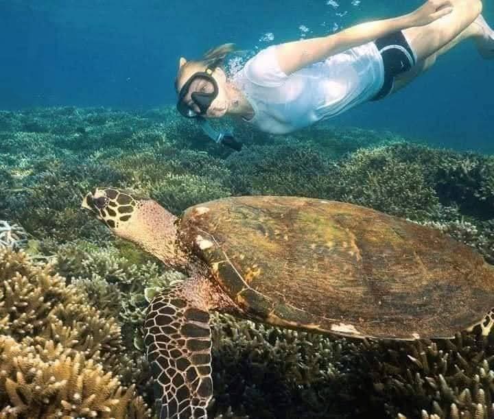 Sri Lanka Experience